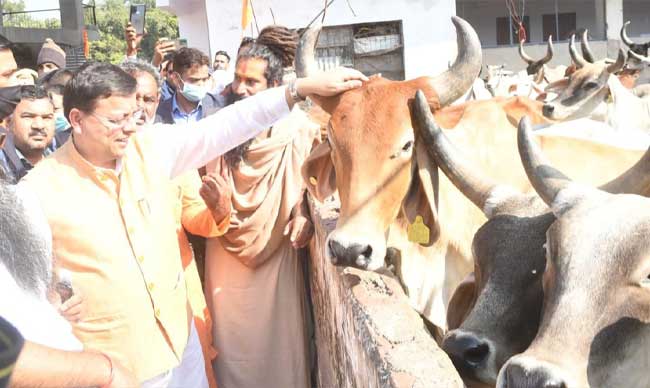 Inauguration of Shri Krishnayan police post for cow protection